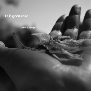 Er is geen cake