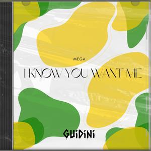 MEGA I KNOW YOU WANT ME (Explicit)