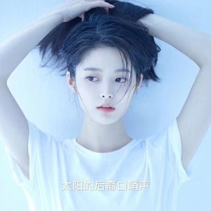 太阳的后裔口哨声 (口哨声版)