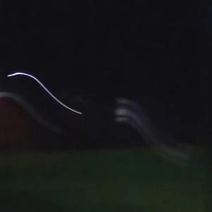 one of us (Explicit)