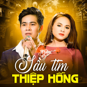Không Bao Giờ Quên Anh