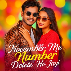 November Me Number Delete Ho Jayi