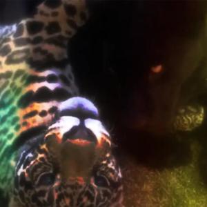 Mo Likely (feat. athera) (Explicit)