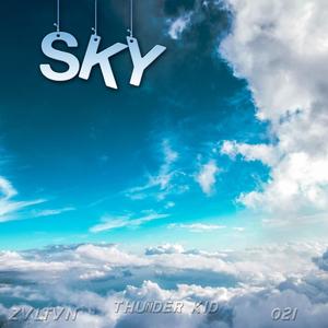 SKY(feat. 021 & Zvltvn) (Explicit)