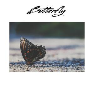 Butterfly (Explicit)