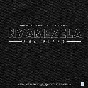 Nyamezela(feat. Tumii Small, Aba Holii & Jeyco De Vocalist)