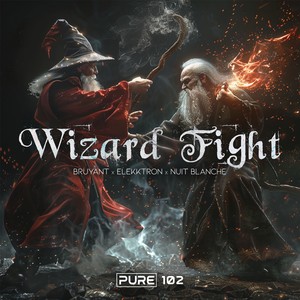 Wizard Fight