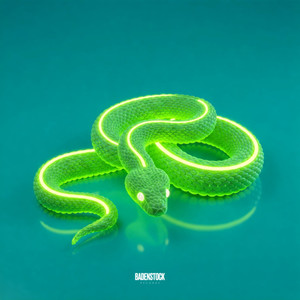 Snake Whisperer (Slwed)