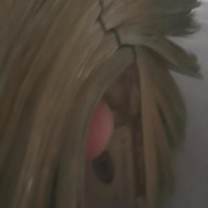 Heart Bleeding (Explicit)