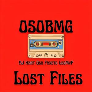 Like To Flex (feat. Leo.Mvp) (Explicit)