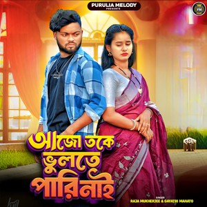 Aajo Toke Bhulte Pari Nai