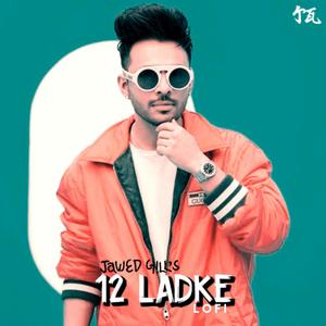 12 Ladke - Lofi