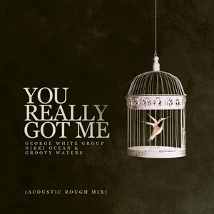 You Really Got Me (Acoustic Rough Mix)