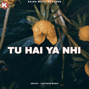 Tu Hai Ya Nhi