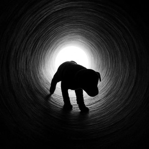 CHEKA FEKA (Explicit)