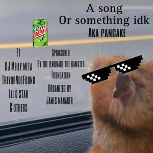 Pancake (feat. DJ Melly Meta, TrevorNotFound, Lil G Star, Dunebuggy Girl, William Suss, Uncle curtis the cool guy, Lil hardworking mom, Little E, Aunt Bev The cool Girl, Lil Moran & Brevnoen)