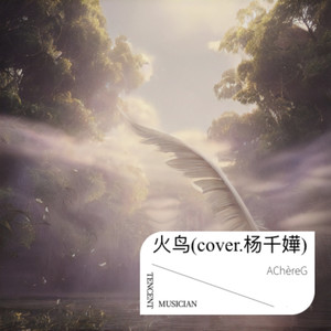 深息封面