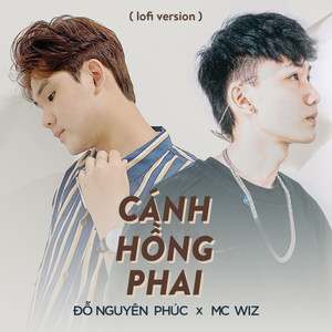 Cánh Hồng Phai (Lofi Version)