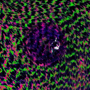 Plethora Penumbra (Quarry remix)