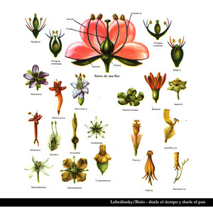 Duele el tiempo y duele el pan