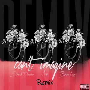 Can't Imagine Remix (Explicit)