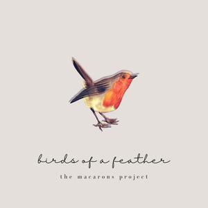 birds of a feather (Acoustic)