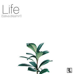 "Life (Sativa Dreamin') [Explicit]