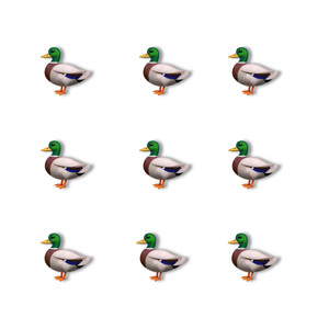 Corre de Pato (Explicit)