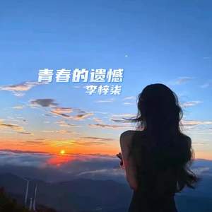 青春的遗憾 (粤语DJ版)