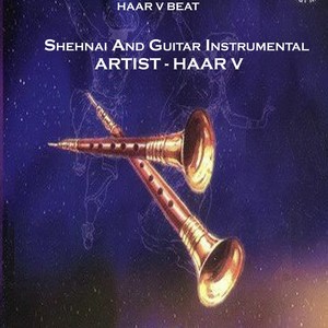 Shehnai And Guitar Instrumental