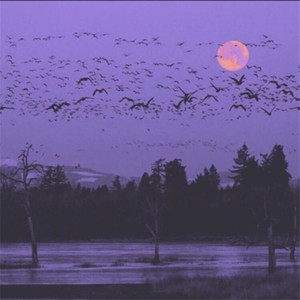 鸡蛋黄 - 后会无期 (DJ版)