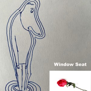 Window Seat