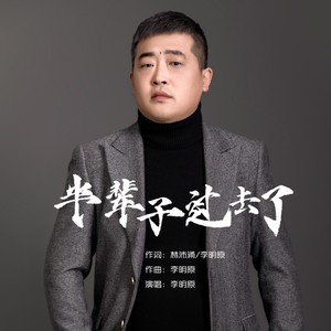 半辈子过去了 (DJheap九天加速版伴奏)