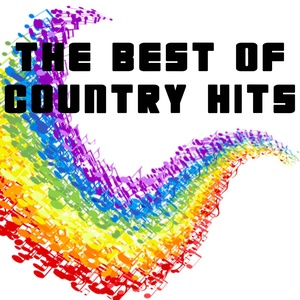 Country Clown - Beat This Summer (The Best Of Country Hitz Tribute to Brad Paisley)