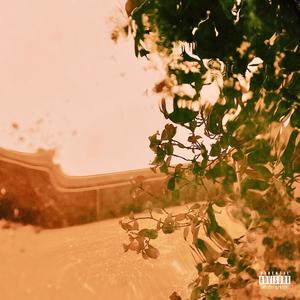 Cinnamon Apple (feat. Theez) (Explicit)