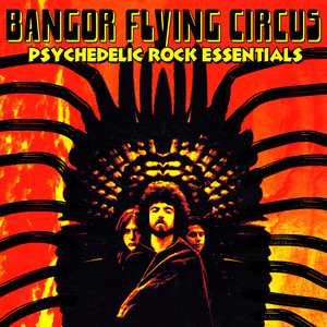 Psychedelic Rock Essentials