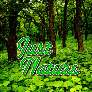 Just Nature