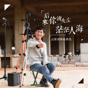 后来你消失在茫茫人海封面