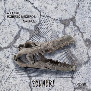 Asteroid (Paulo Foltz Remix)