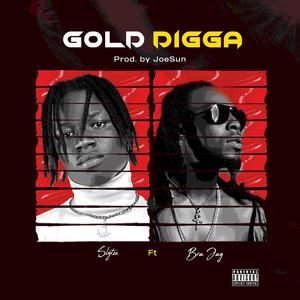 Gold Digga (feat. Bra Jay) [Explicit]