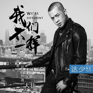大壮 - 我们不一样 (Remix)
