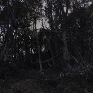 cuando terminen estos dias