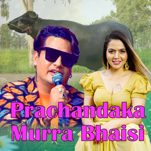 Prachandaka Murra Bhaisi