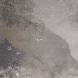 Chrysalis