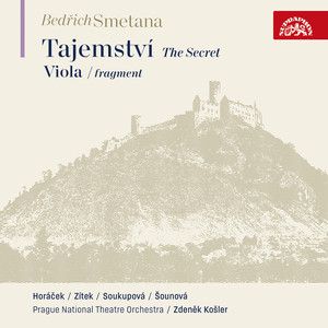 The Secret and Viola (fragment)