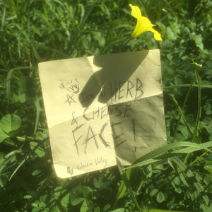 Italian Herb & Cheese Face (Explicit)