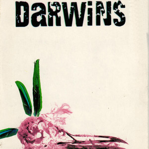 Darwins