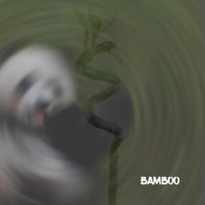 Bamboo