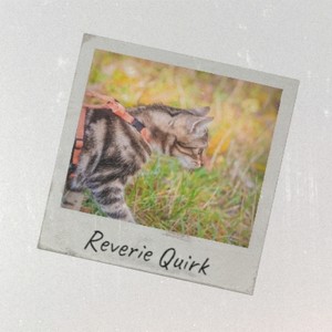 Reverie Quirk