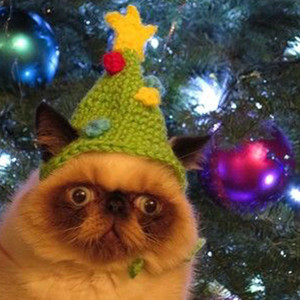 Our love story at Christmas